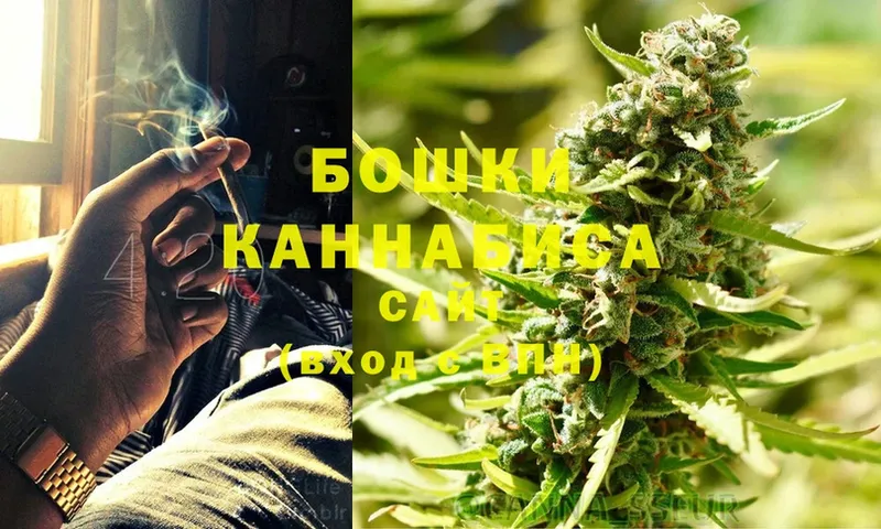 Бошки марихуана Bruce Banner  Новодвинск 